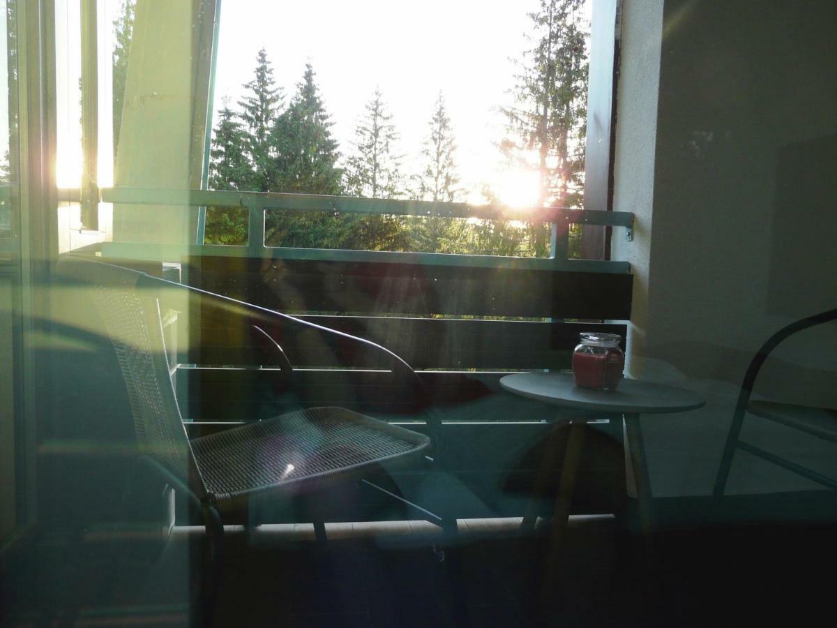Silver Mountain Apartment A32 - 3 Rooms 3 Bathrooms بويانا براسوف المظهر الخارجي الصورة