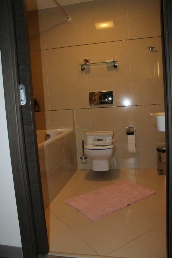 Silver Mountain Apartment A32 - 3 Rooms 3 Bathrooms بويانا براسوف المظهر الخارجي الصورة